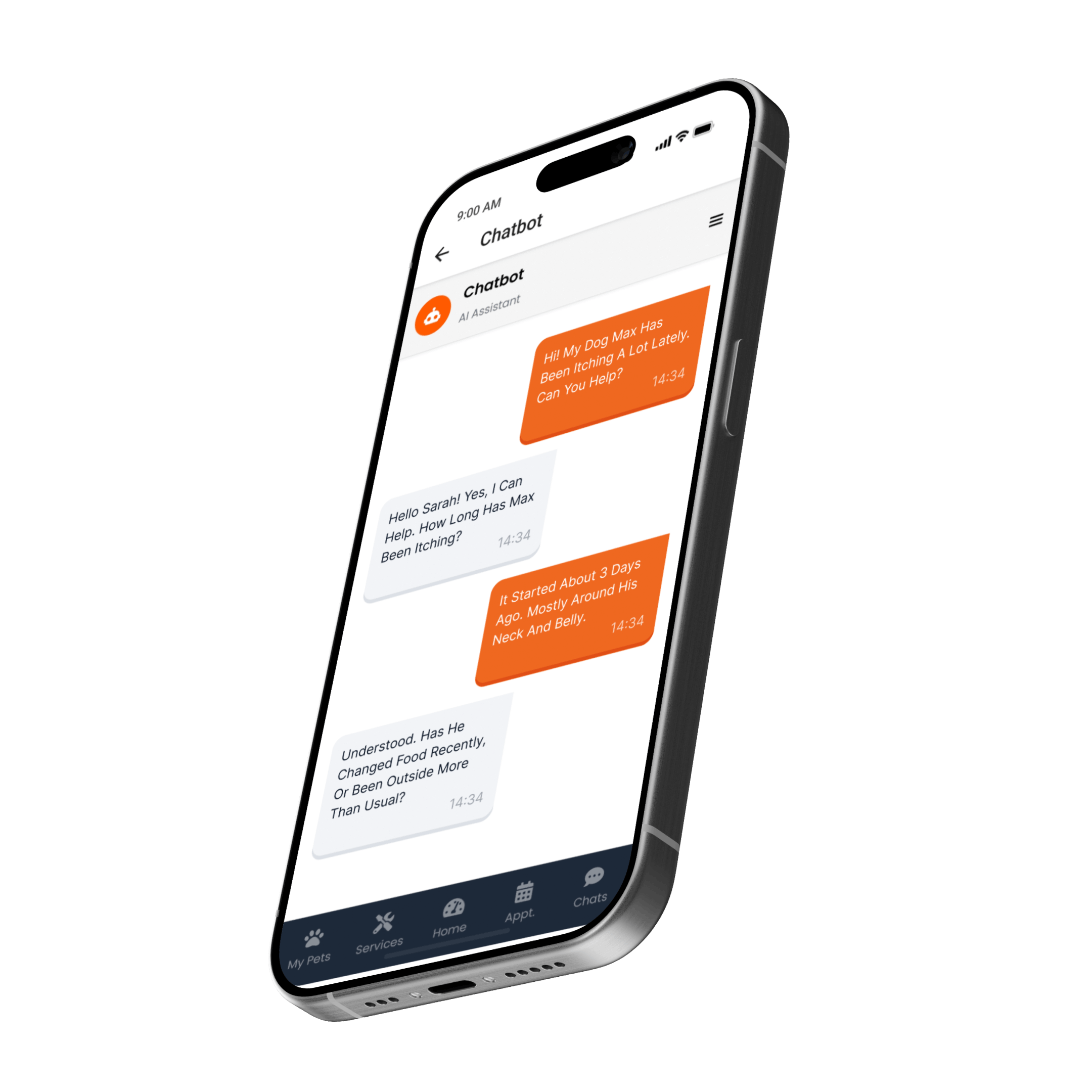 Veterinarian examining a cat while owner reviews health records