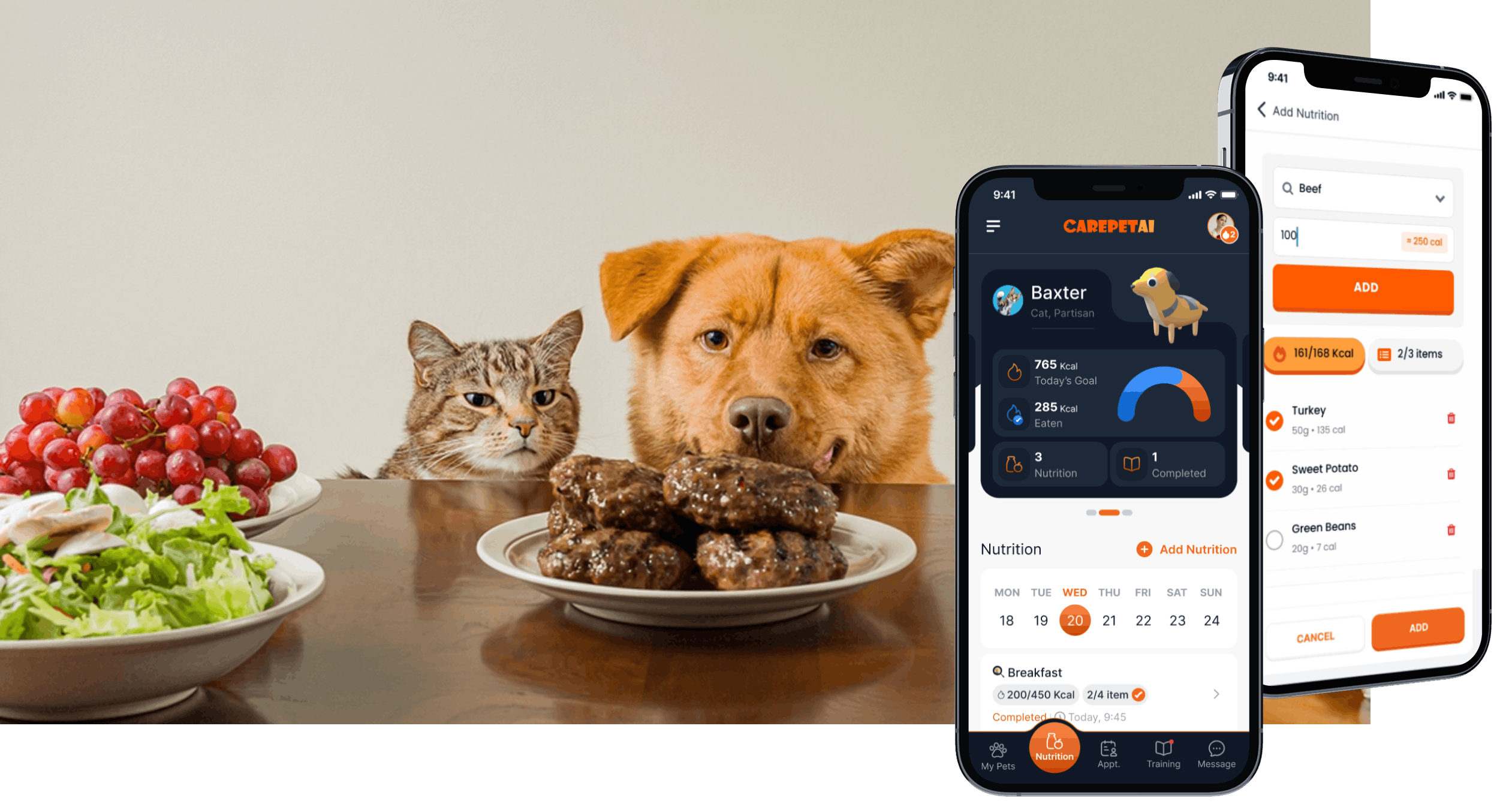 Pets with healthy food and fresh ingredients