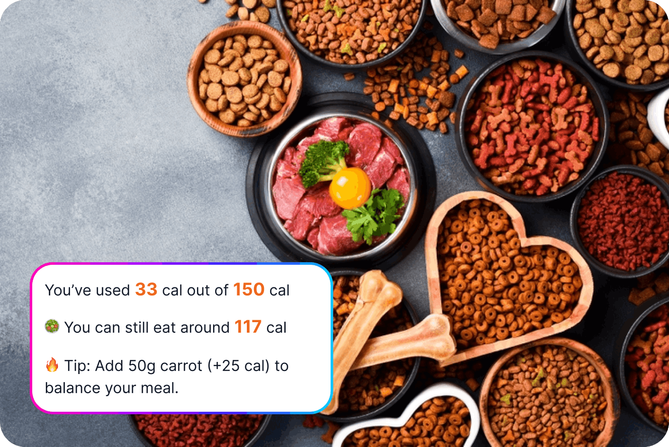 Fresh healthy pet food ingredients arranged on a surface
