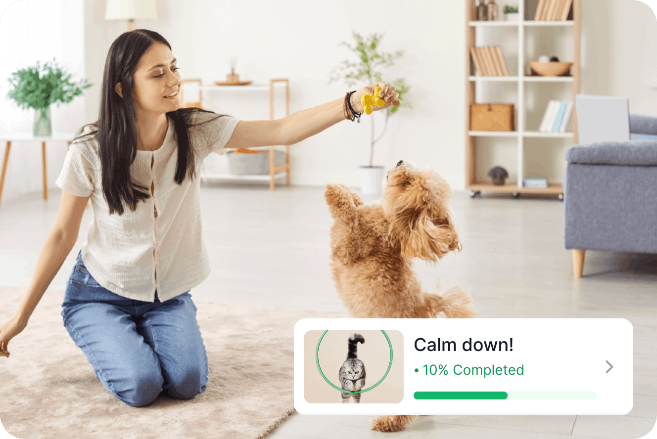 Woman training a small dog at home