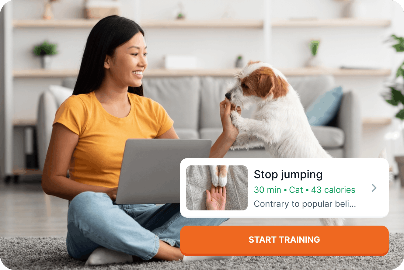 Professional trainer working with a dog in a park