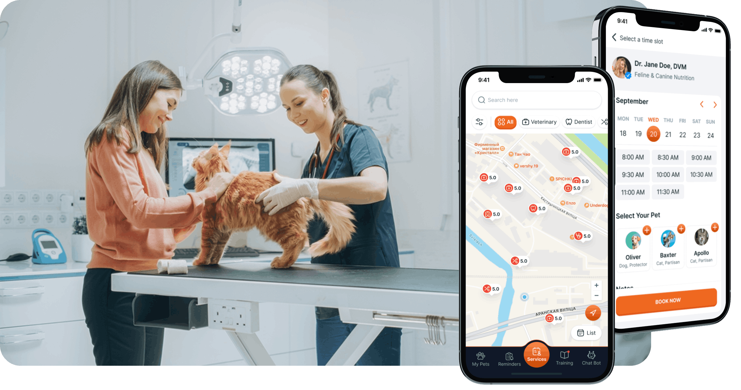 Veterinarian examining a golden retriever in a modern clinic