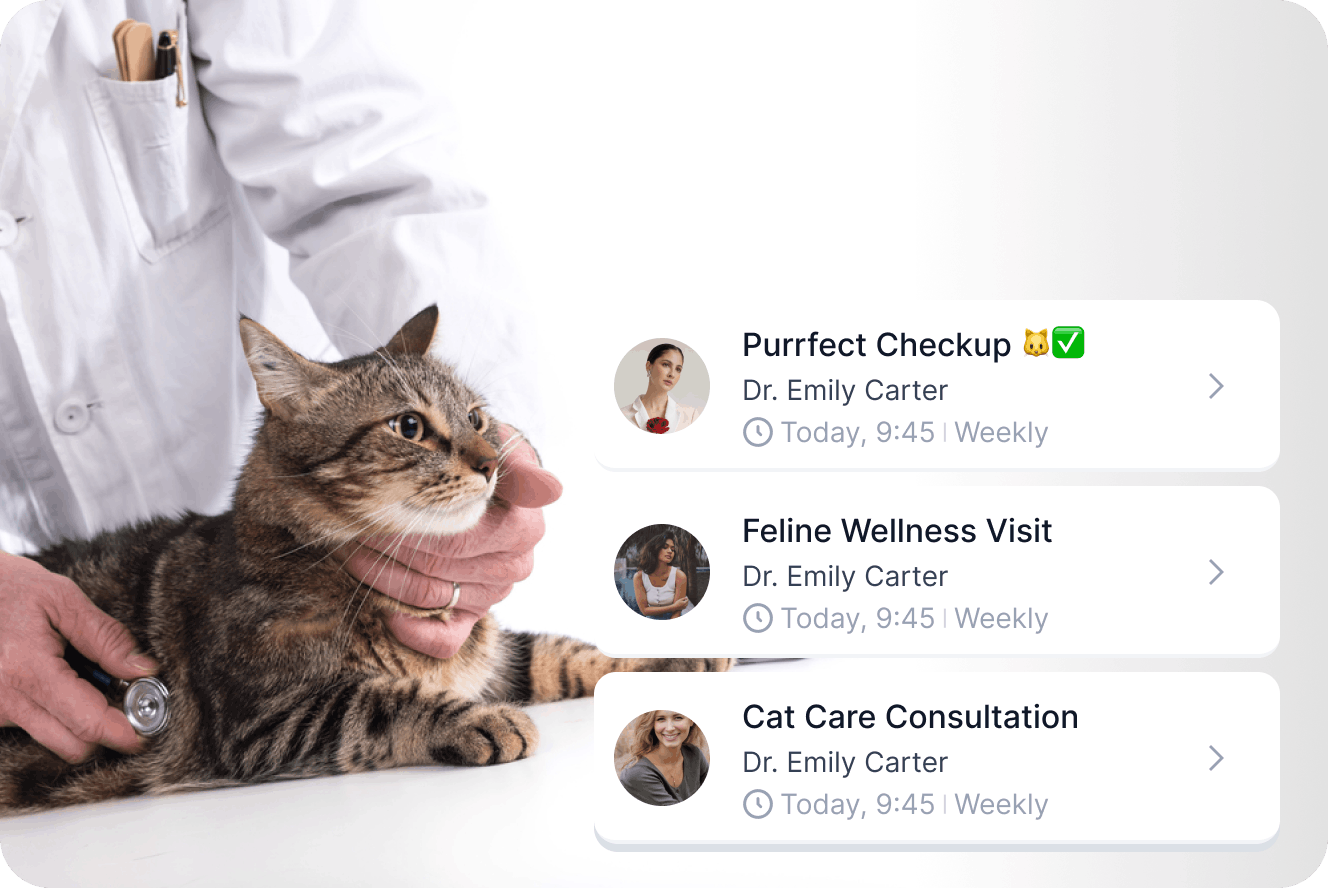 Veterinarian holding a fluffy dog while talking to its owner